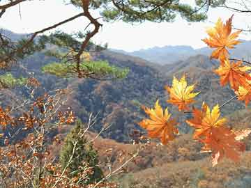 江門(mén)余艷娟的最新動(dòng)態(tài)??