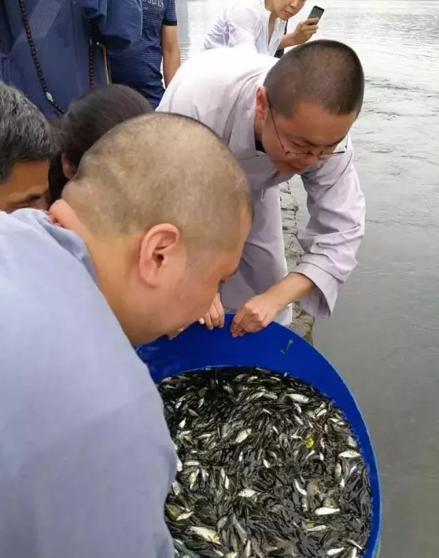 放生治病奇跡最新報道，見(jiàn)證生命轉變的神奇瞬間