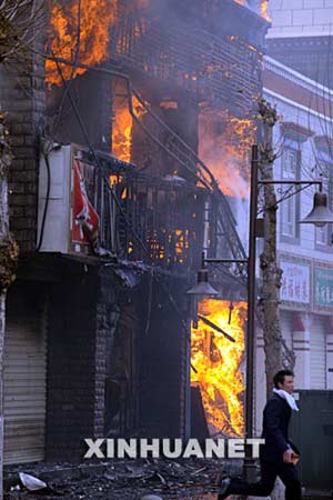 西藏最新事件，雪域高原的溫馨日常觀(guān)察