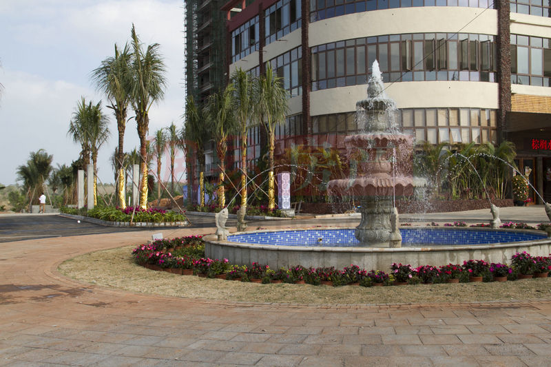 棕櫚水城最新動(dòng)態(tài)，塑造理想生活新標桿！