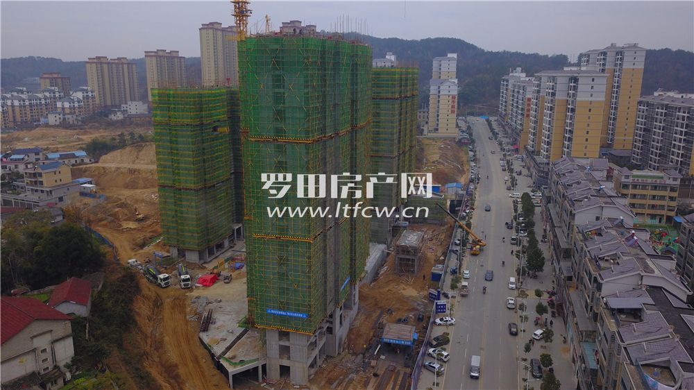 羅田最新房?jì)r(jià)揭秘，洞悉市場(chǎng)動(dòng)態(tài)，掌握房?jì)r(jià)走勢！