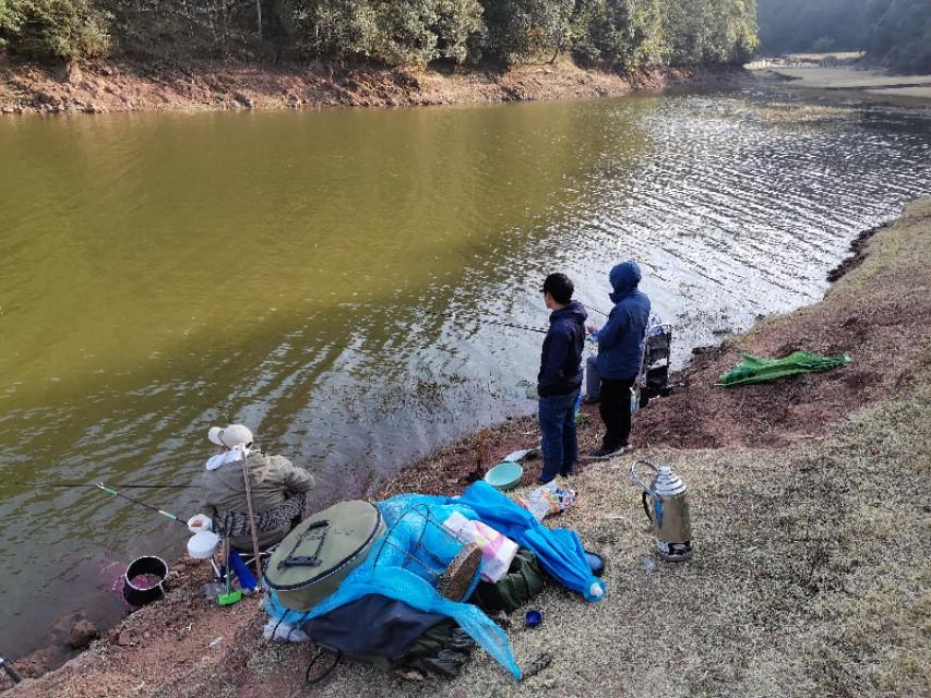 最新水庫釣魚(yú)視頻，探索釣魚(yú)樂(lè )趣與技巧全攻略