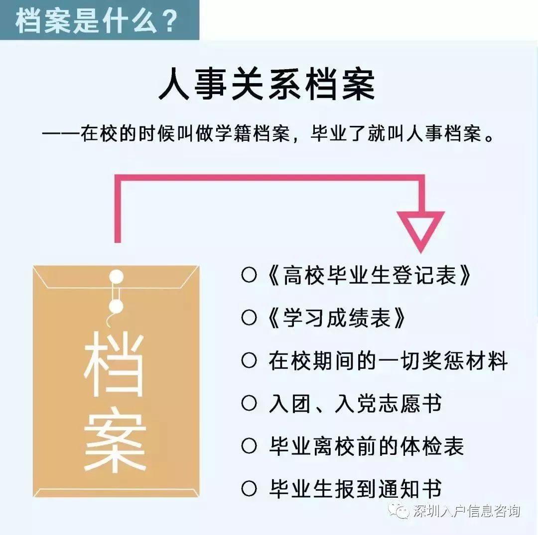 檔案人員補貼最新觀(guān)點(diǎn)論述，探討補貼政策與檔案人員發(fā)展的關(guān)系