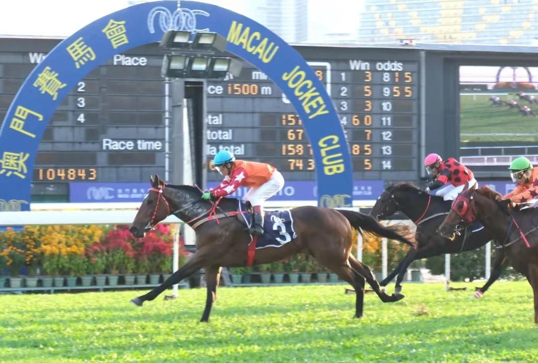 馬會(huì )澳門(mén)一傳真,專(zhuān)業(yè)解讀方案實(shí)施_CSF27.813原創(chuàng  )版