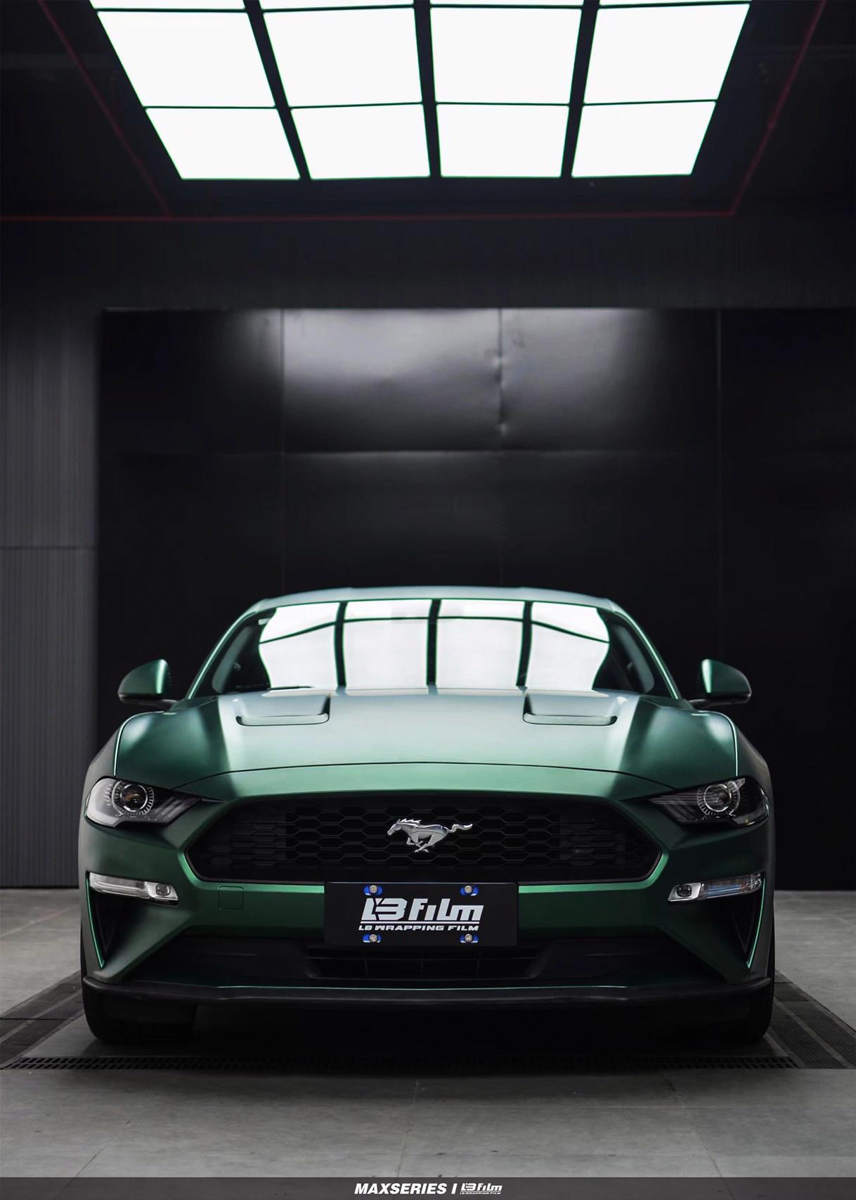 最新野馬汽車(chē)，技術(shù)革新與市場(chǎng)競爭的展現