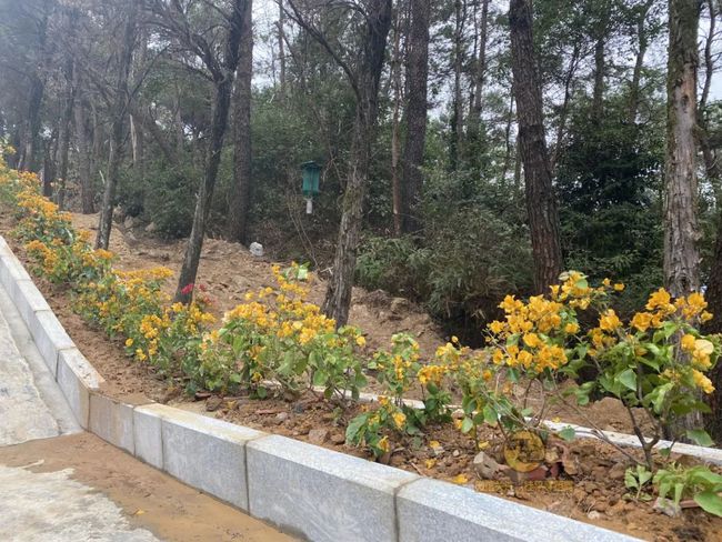 桂平手工，傳統與創(chuàng  )新的完美交融