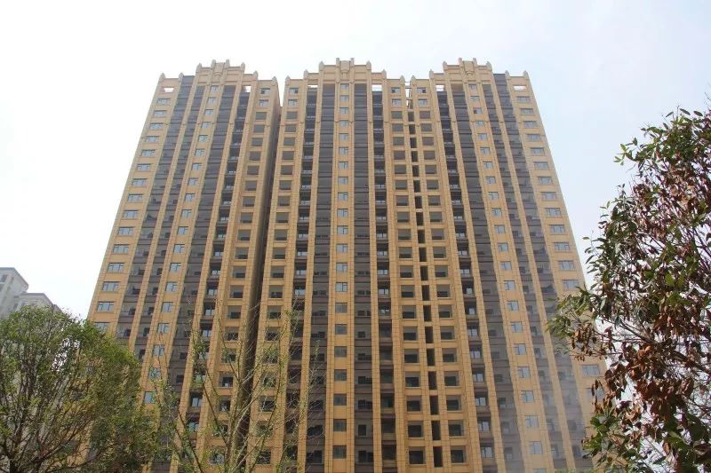 紫荊城邦最新動(dòng)態(tài)，揭開(kāi)未來(lái)生活新篇章的序幕