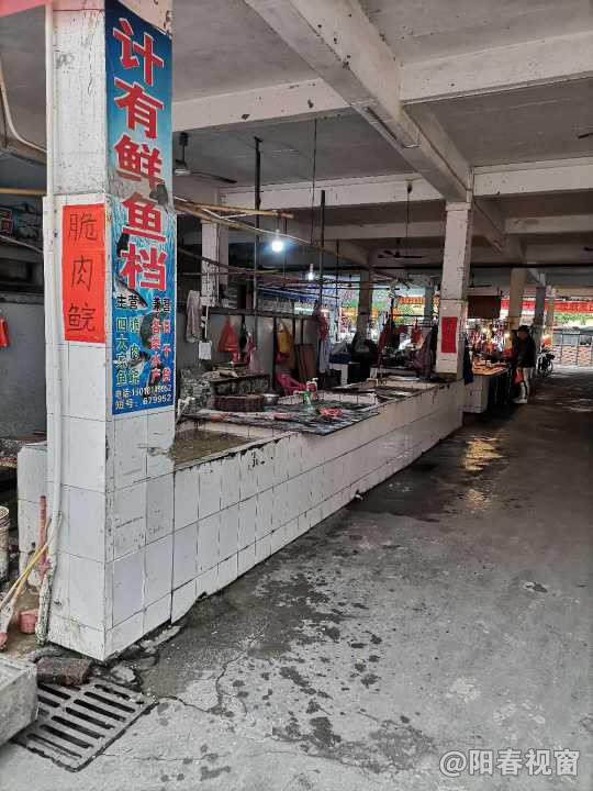 最新魚(yú)檔轉讓?zhuān)盐丈虣C，輕松開(kāi)啟水產(chǎn)養殖事業(yè)之路