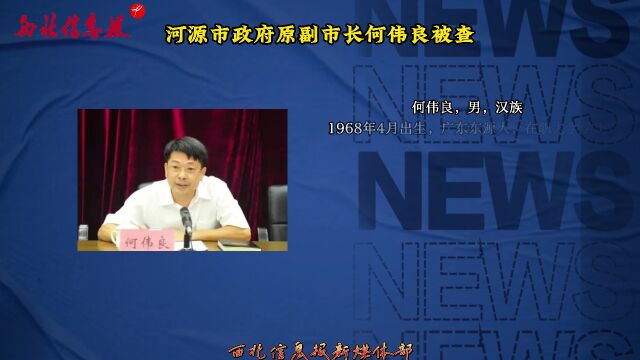 何偉良最新任免揭曉，日常故事中的溫馨轉折