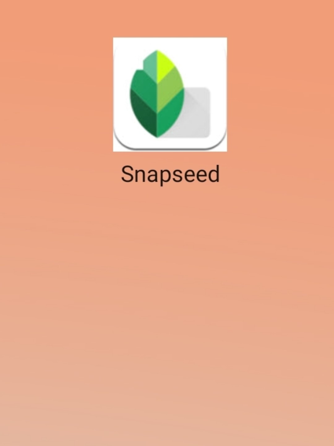 最新snapseed中文版，科技重塑影像，讓生活因攝影更精彩