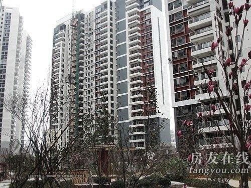 綠地長(cháng)島公寓最新價(jià)格揭秘，小巷深處的隱藏寶藏