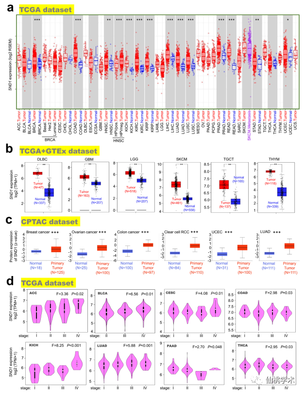7884444最快開(kāi)獎網(wǎng),深究數據應用策略_YHG85.375L版