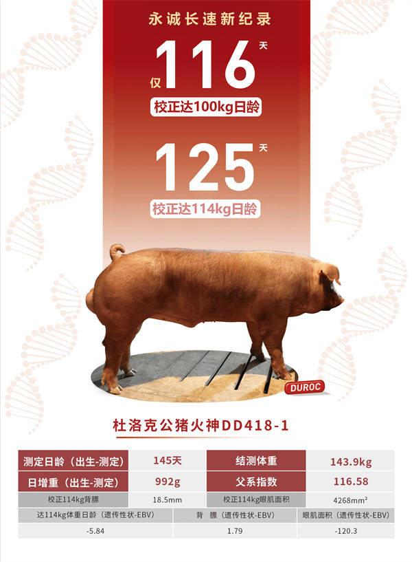 香港二四六最快開(kāi)獎,專(zhuān)業(yè)解讀操行解決_HMG83.231光輝版