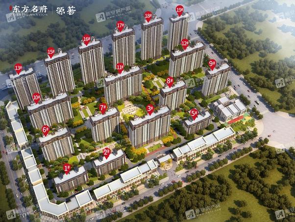 明光東郡最新動(dòng)態(tài)，友情的綻放與家的溫馨日常