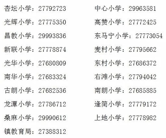 杏壇最新招聘信息大全，獲取、應聘全攻略，初學(xué)者與進(jìn)階用戶(hù)通用指南
