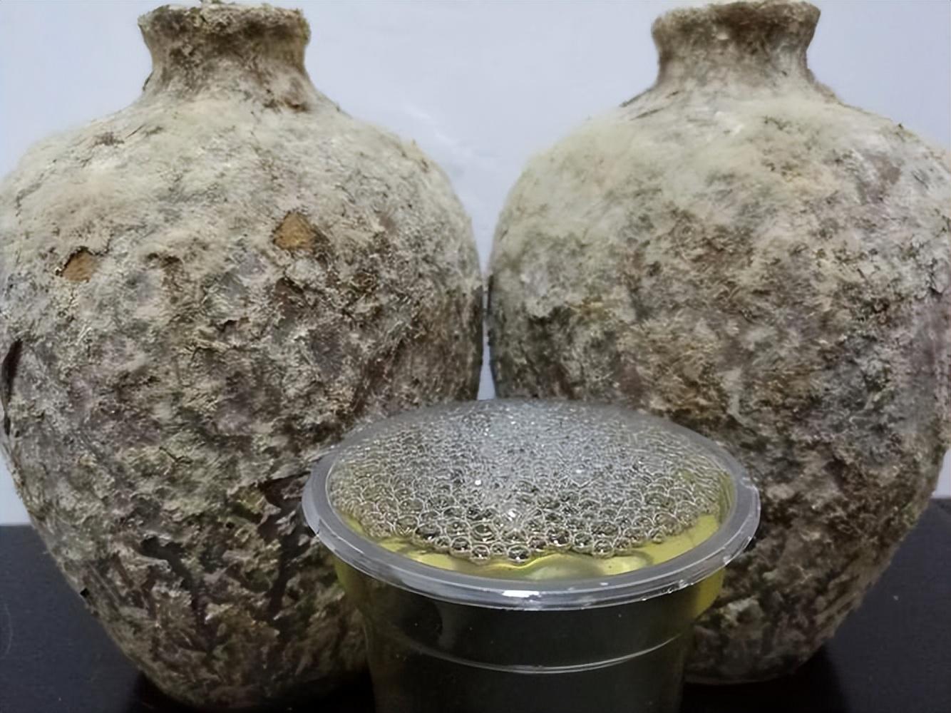 仁懷房屋出售最新信息，科技與家居融合，未來(lái)家居新體驗重磅推出