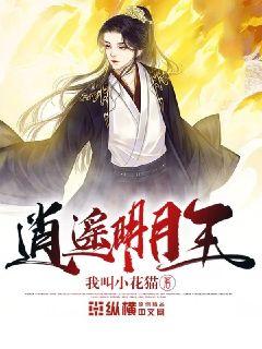 時(shí)代之光下的璀璨篇章，明月珰最新連載熱議熱議熱議！