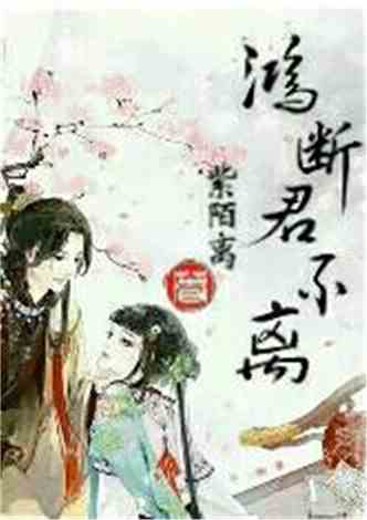 沈南汐最新小說(shuō)，知識的力量，成就夢(mèng)想的翅膀之路