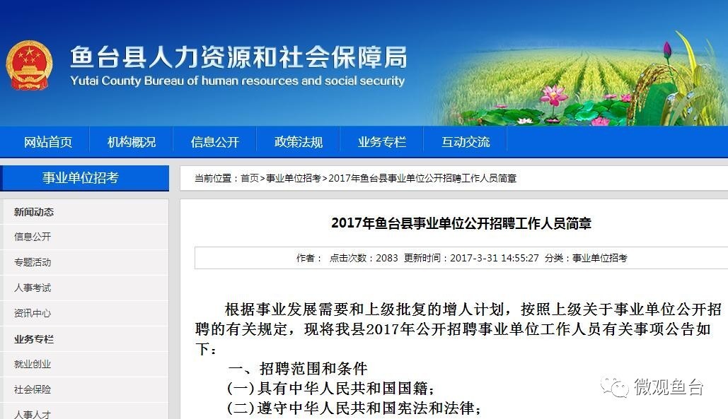 魚(yú)臺最新招聘信息大全，求職步驟指南與招聘信息更新速遞