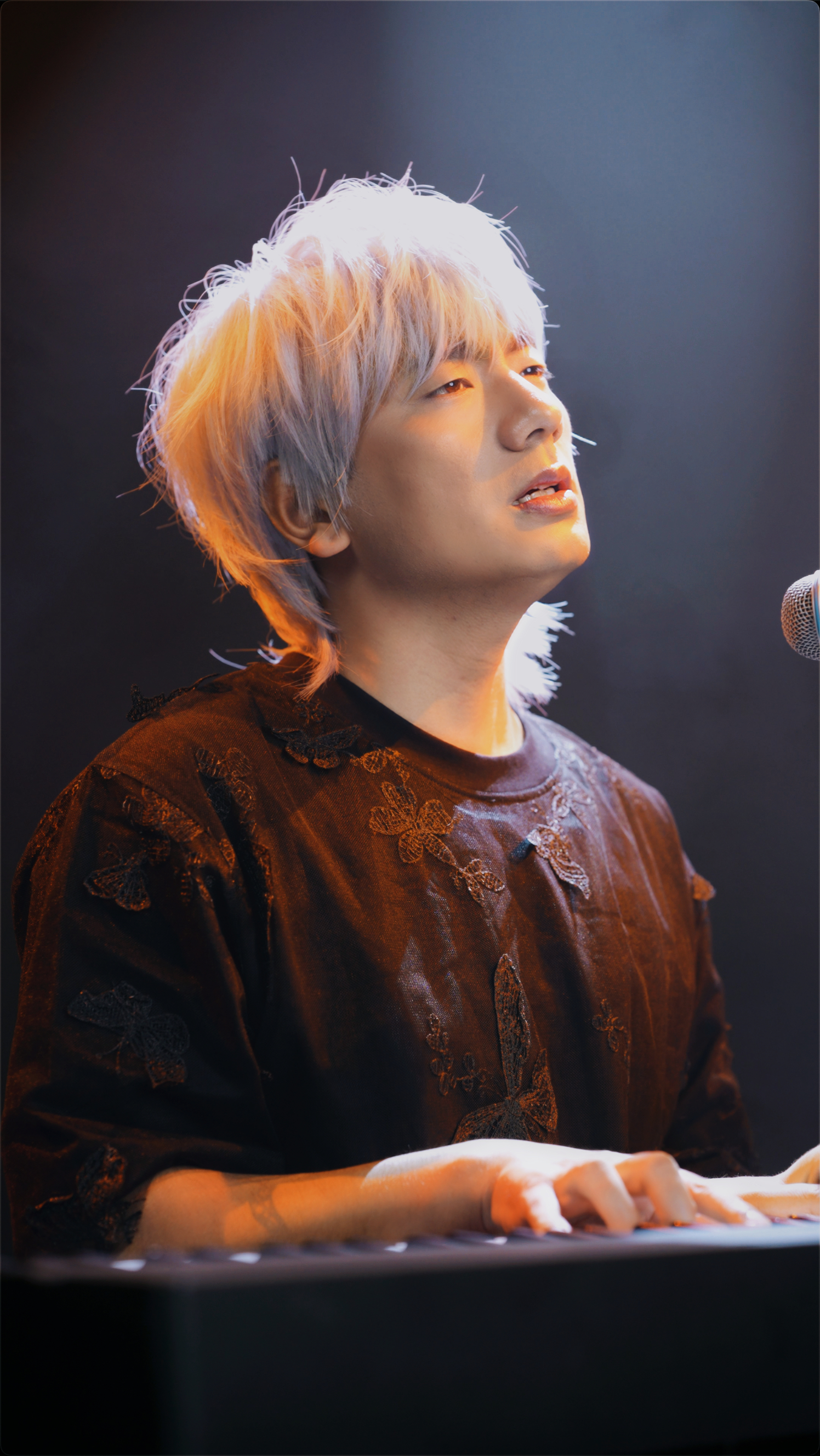 冷漠2024最新預告新歌，音樂(lè )與時(shí)代交融的期待之聲