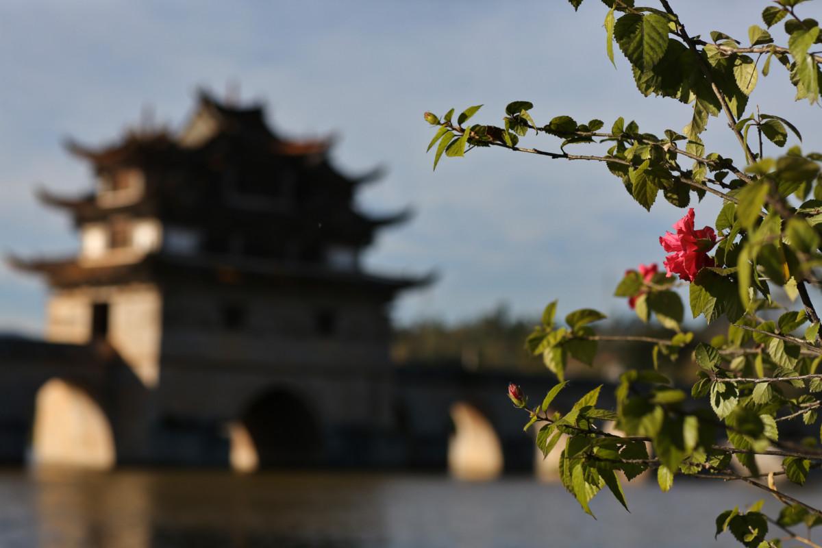 大冰最新力作，智能生活新紀元——科技與生活的完美融合