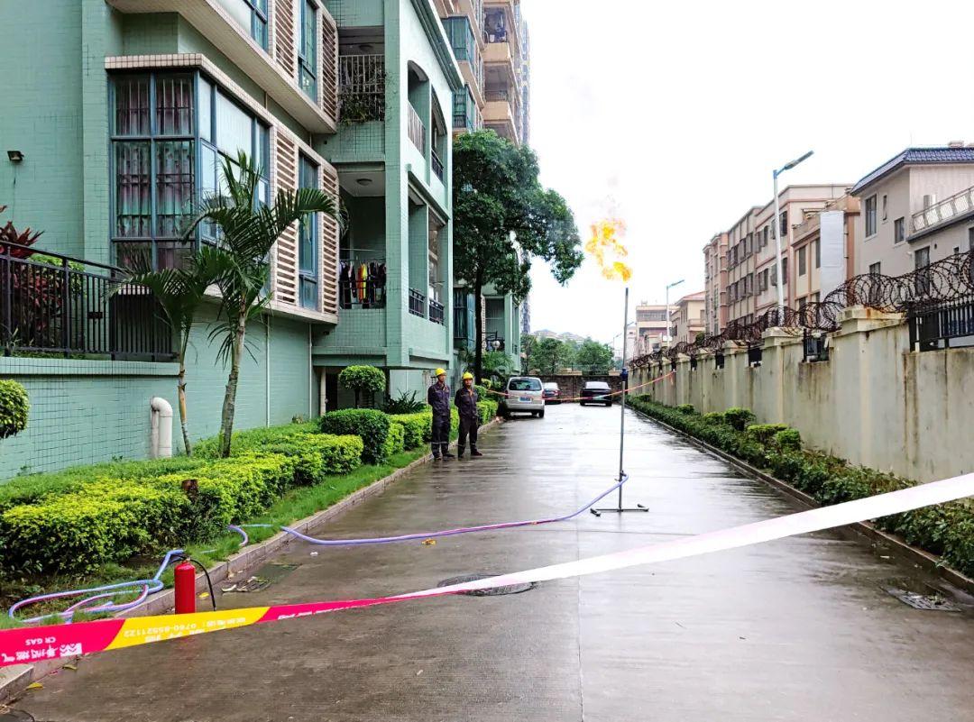 中山東鳳佛奧最新動(dòng)態(tài)，自然美景的探索之旅，尋找內心平和與寧靜