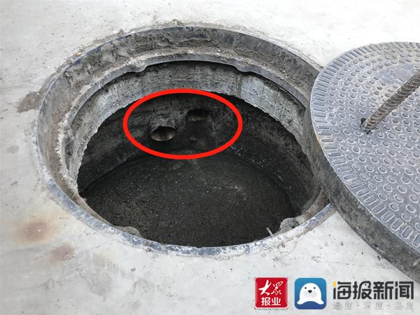 福建臺幫幫團最新一期揭秘，小巷深處的隱藏美食瑰寶
