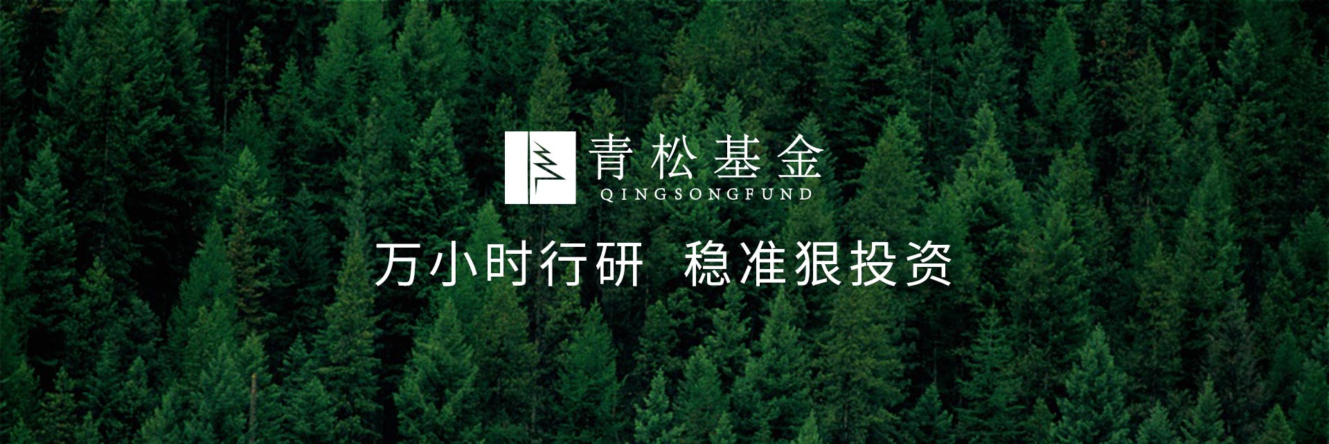 長(cháng)青樹(shù)眾籌最新動(dòng)態(tài)，背景、發(fā)展與時(shí)代地位探索