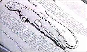 美國填尸最新進(jìn)展，高科技重塑生活，未來(lái)科技魅力體驗