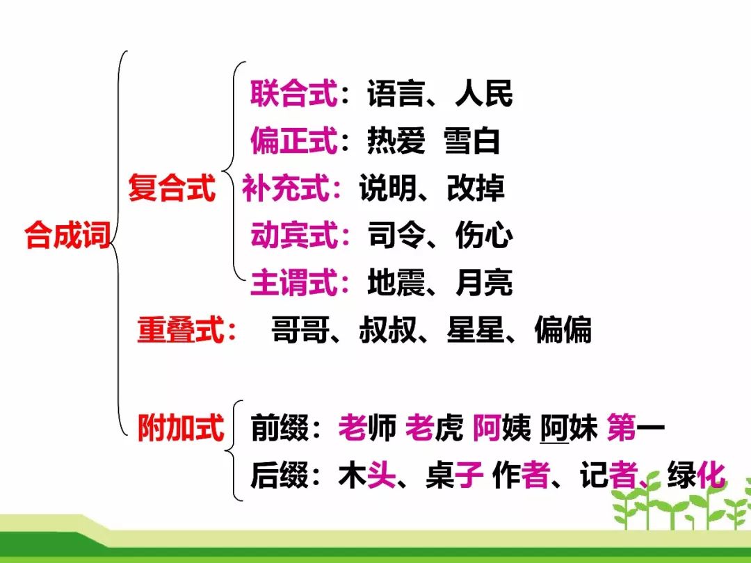 最新合成詞，語(yǔ)言發(fā)展的微觀(guān)視角探索