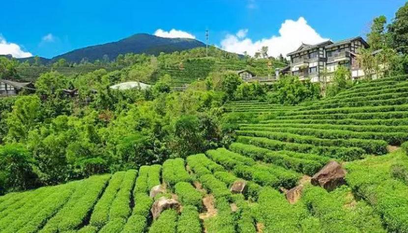 深圳驚喜活動(dòng)溫情之旅，日常中的特別瞬間