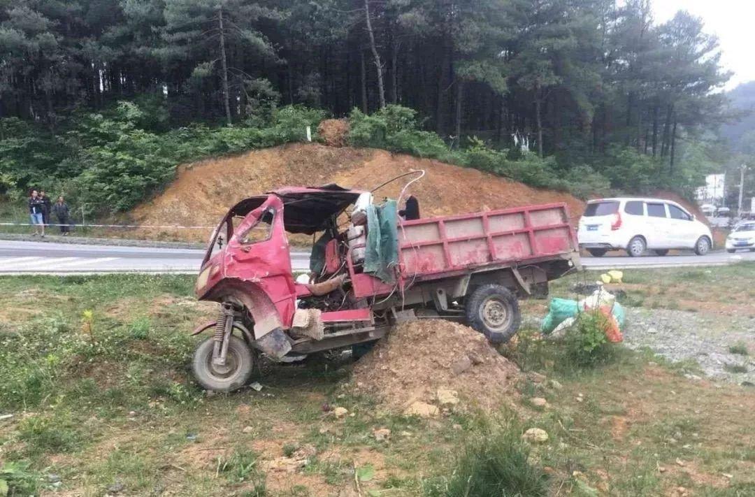 平山事故背后的溫馨故事，友情、愛(ài)與陪伴的奇遇