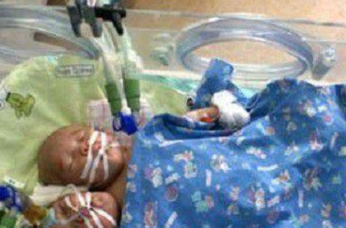 雙頭姐妹，時(shí)代背景下的傳奇故事最新進(jìn)展