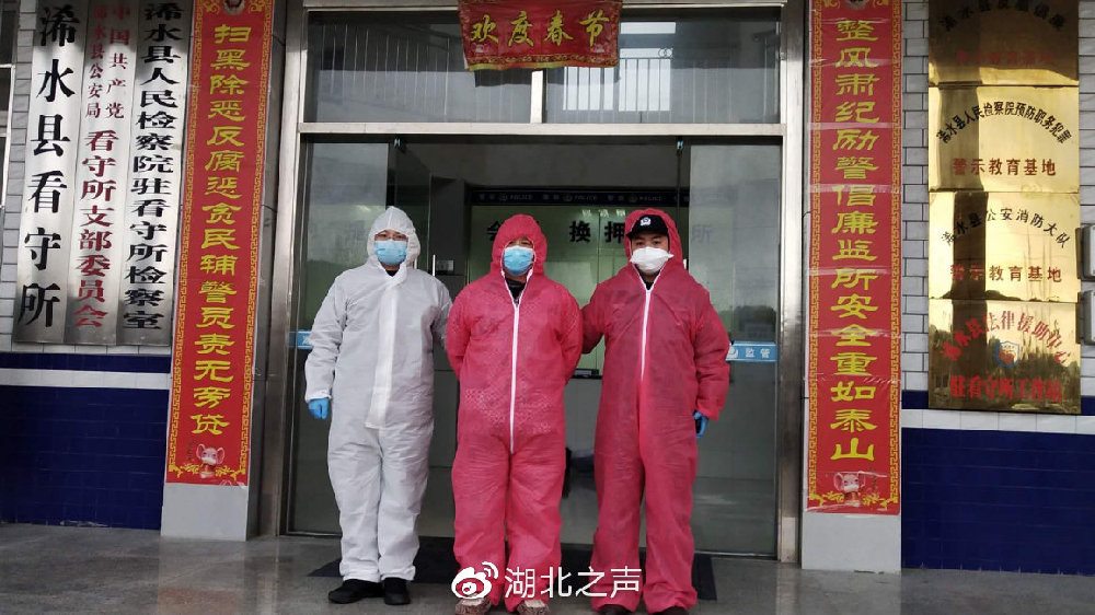 浠水最新疫情,浠水最新疫情下的自然探索之旅，尋找內心的寧靜與平和