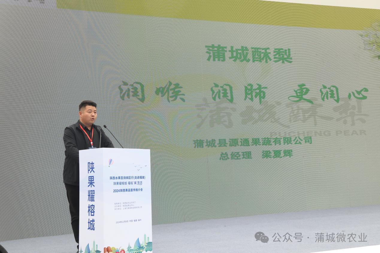 梨城資訊速遞，探索梨城新動(dòng)態(tài)與發(fā)展趨勢