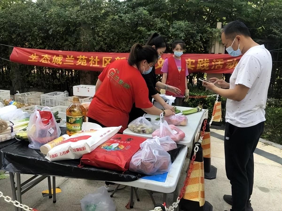 保利華潤紫云價(jià)格深度解析，探尋背后的故事與地位影響