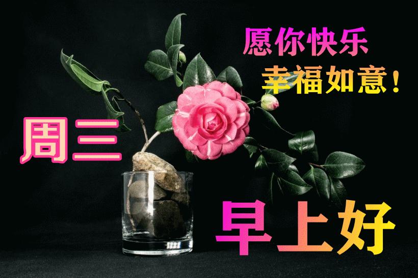 最新早晨問(wèn)候動(dòng)態(tài)表情包，溫馨問(wèn)候，從表情開(kāi)始！