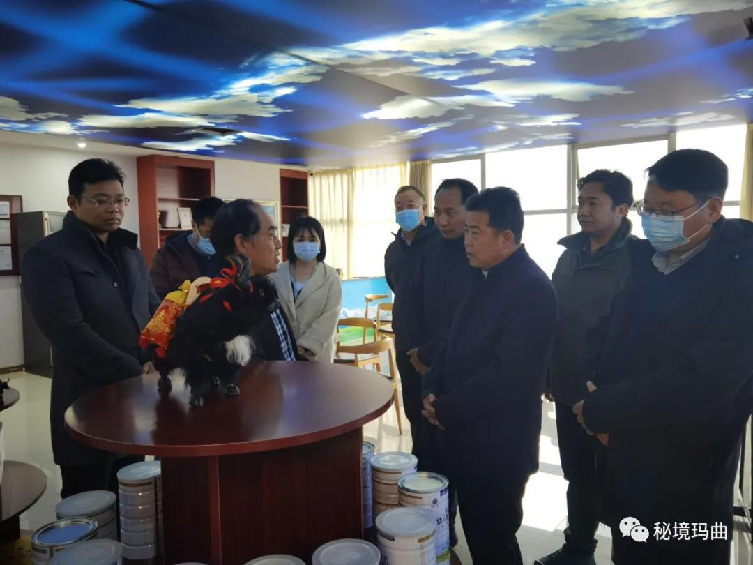 高原之寶上市，學(xué)習、蛻變與自信的輝煌之旅