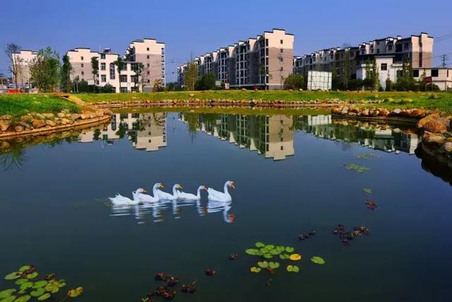 萍鄉安源湖，最新動(dòng)態(tài)揭示湖畔變革與自我超越之旅