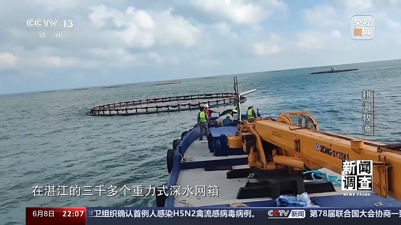 最新海水養殖,最新海水養殖，一種前沿農業(yè)技術(shù)的觀(guān)點(diǎn)分析