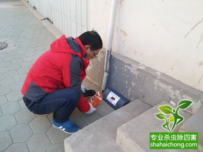 最新滅鼠技術(shù)的觀(guān)點(diǎn)論述與立場(chǎng)闡述，創(chuàng  )新方法的探索與挑戰