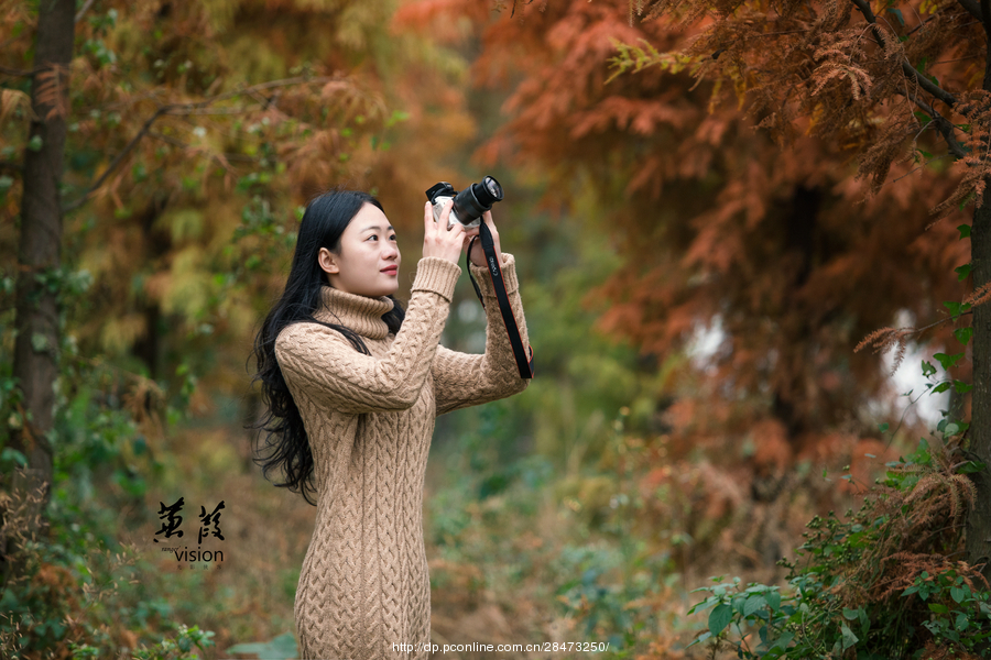 伊人在線(xiàn)電影，探索現代網(wǎng)絡(luò )影視的新境界