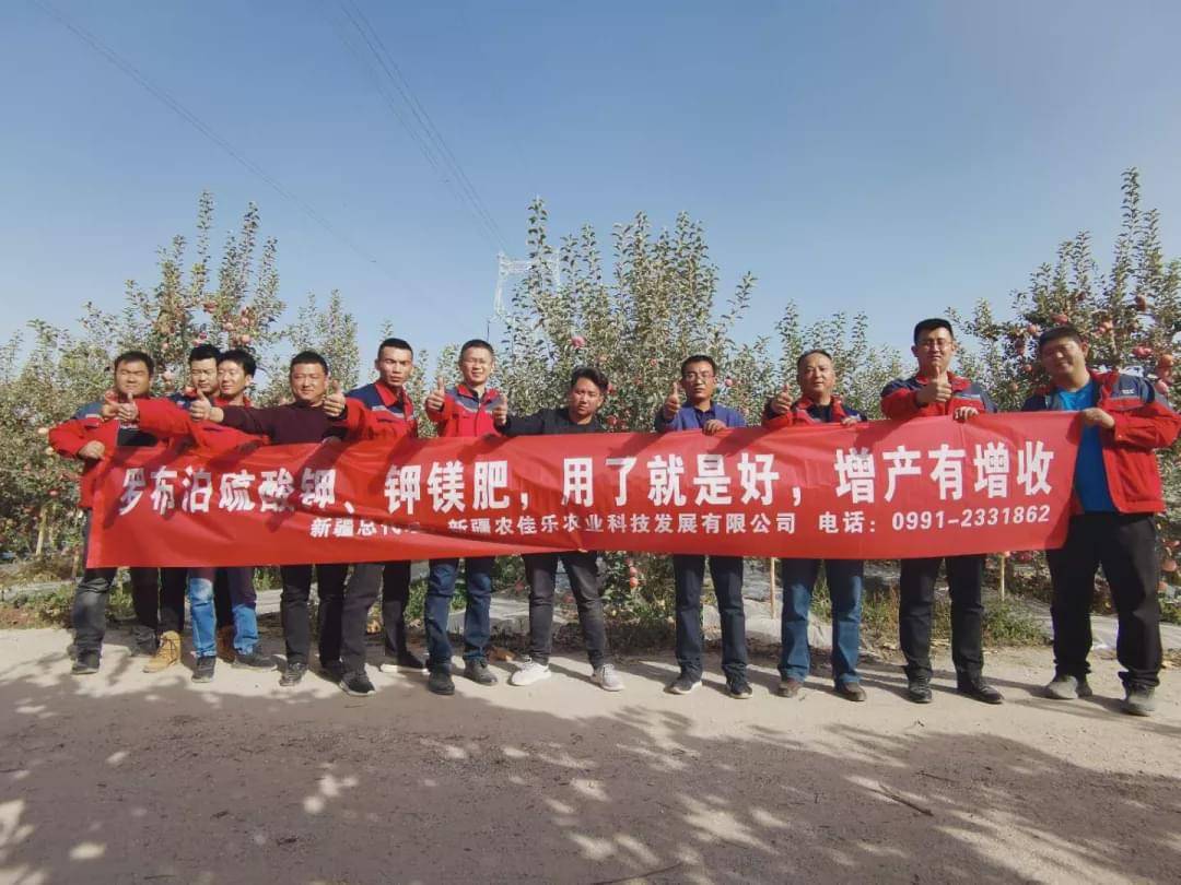 新疆國投羅鉀最新動(dòng)態(tài)，全面指南與最新發(fā)展概述