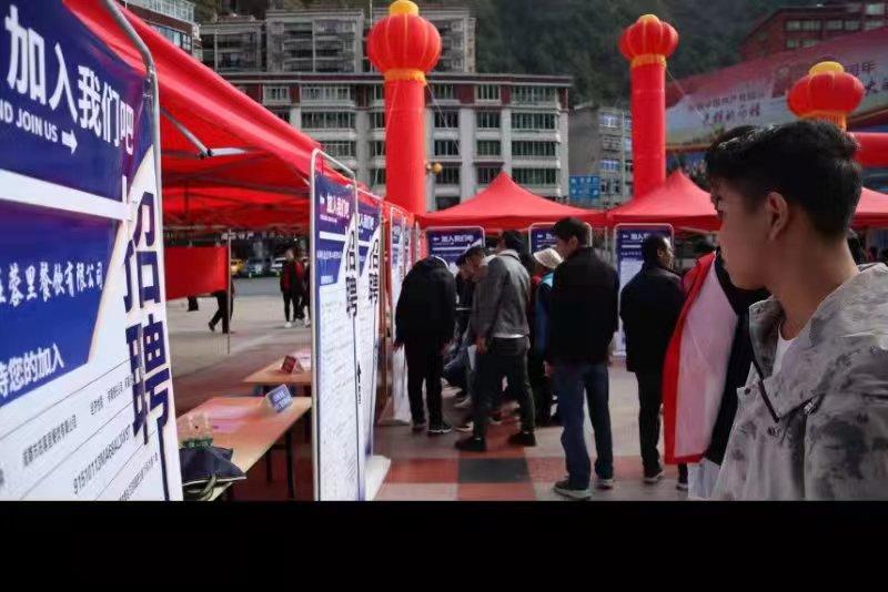 青白江招聘信息探索，小巷中的職業(yè)機遇