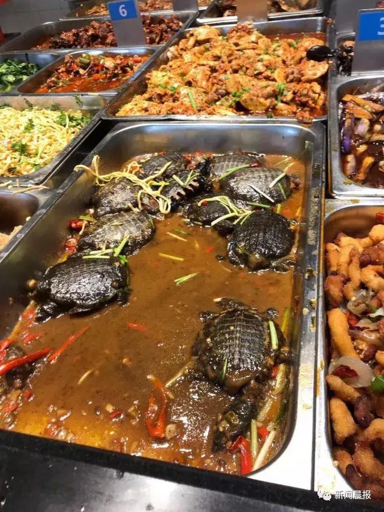 探索食堂美食新潮流，最新食堂菜一覽