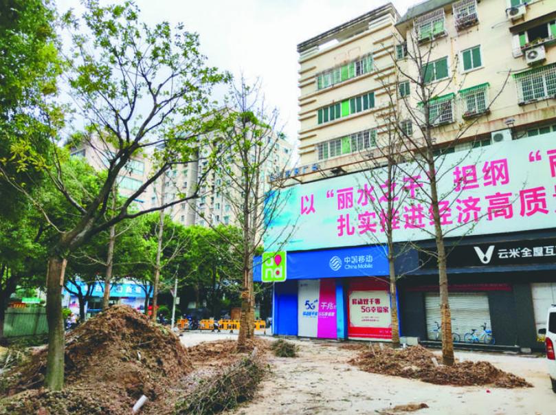 最新吊車(chē)網(wǎng)，自然美景之旅與內心平靜的探尋