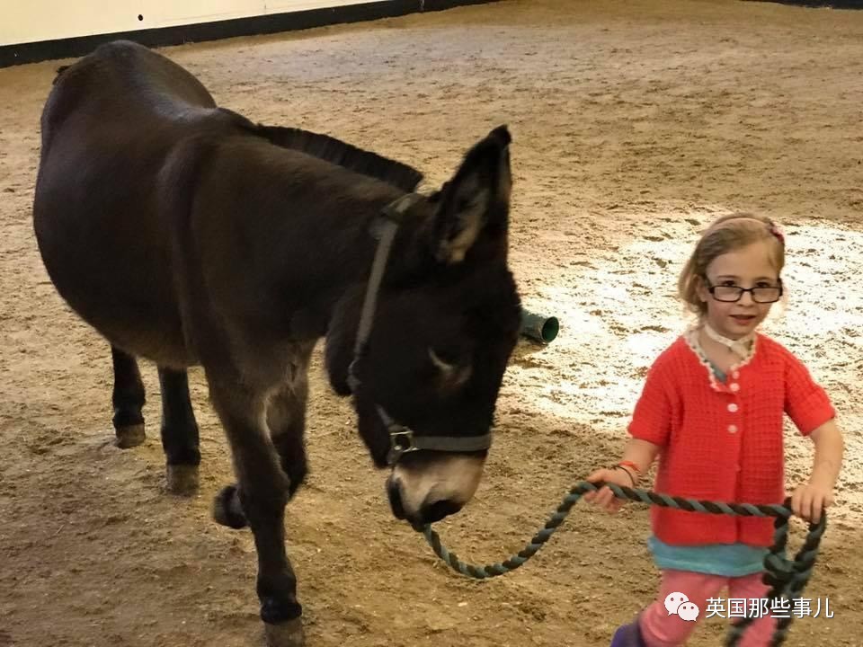 二驢子最新事件揭秘，事件全貌大揭秘！