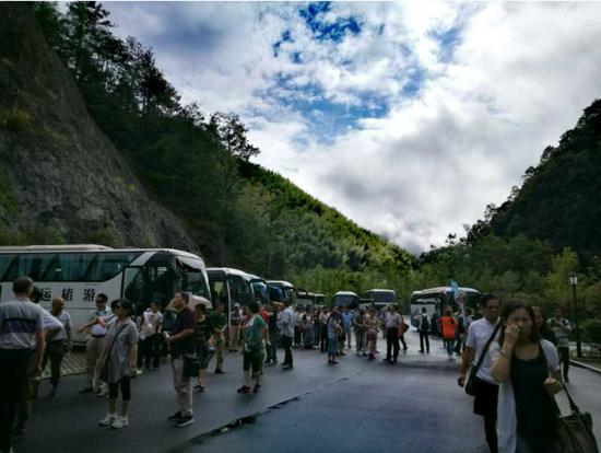 泰順高鐵最新動(dòng)態(tài)更新，最新消息一覽
