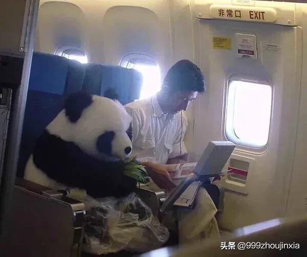 追逐變化之翼，學(xué)習鑄就自信與成就——虛幻最新探討