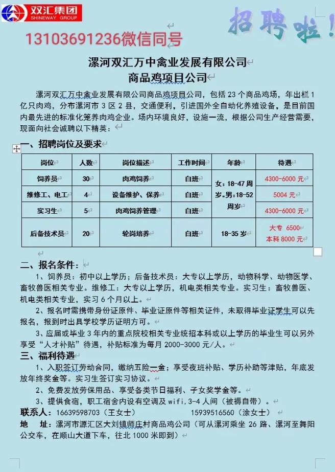 漯河鞋廠(chǎng)最新招聘信息匯總